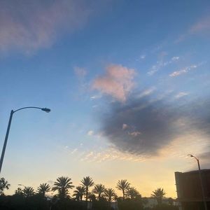 Meet your Posher, Georgenne